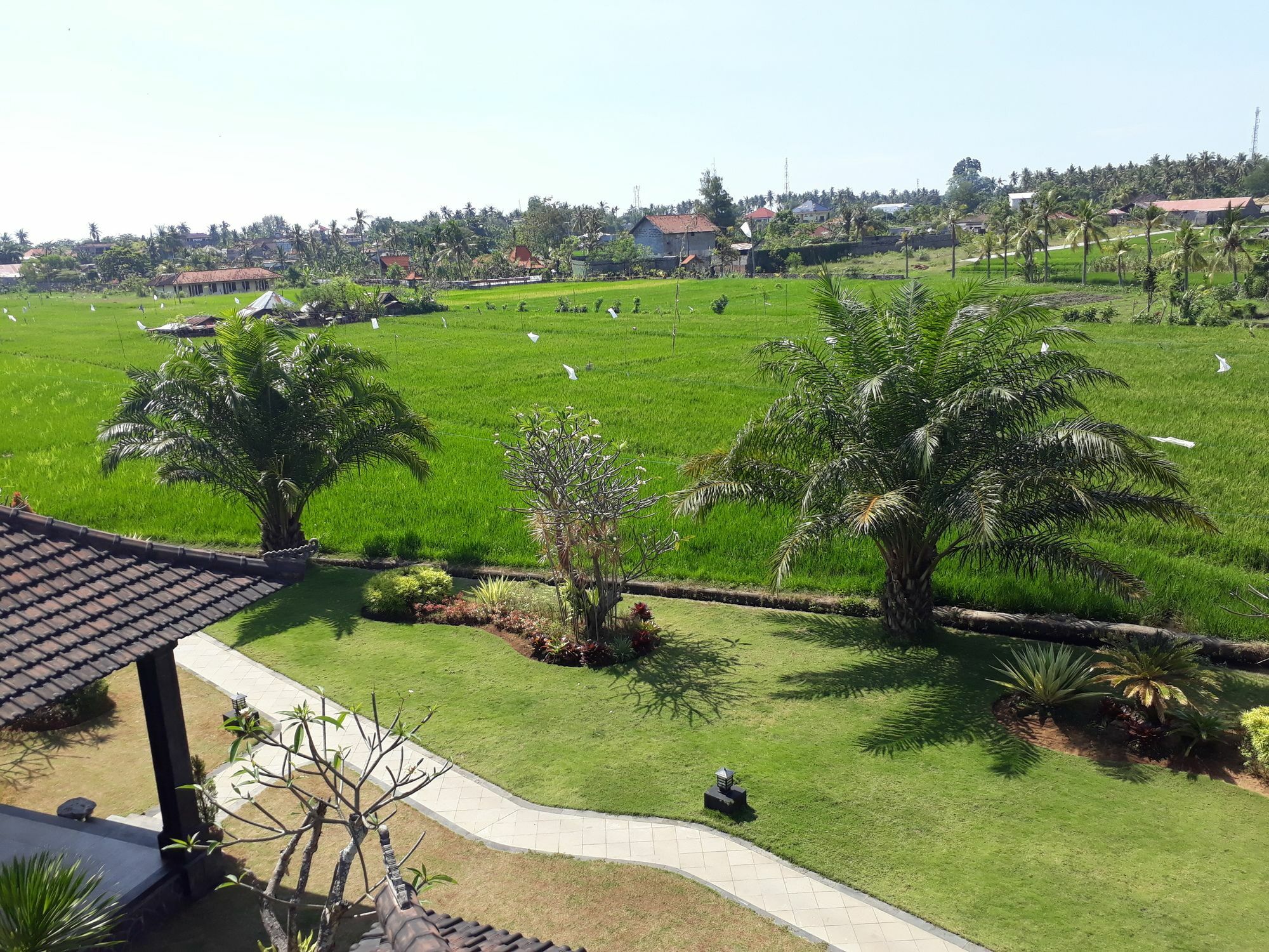 Pandawa Village Lovina Εξωτερικό φωτογραφία